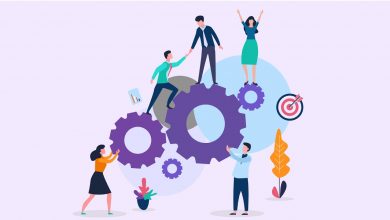 Web Arayüz & Tasarım